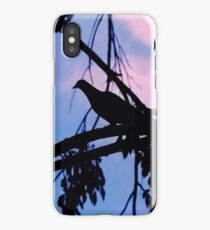 Mourning Dove in Silhouette iPhone Case