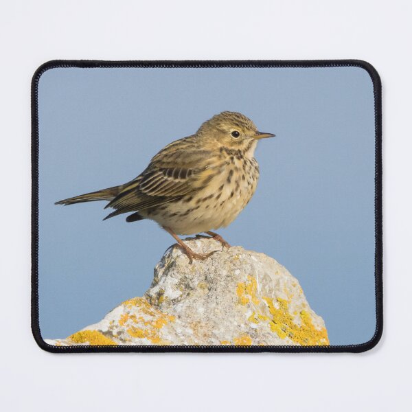 Item preview, Meadow Pipit designed and sold by LaurenTucker.