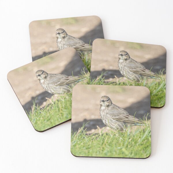 Item preview, Rock Pipit designed and sold by LaurenTucker.