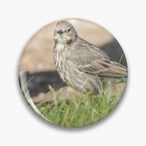 Item preview, Rock Pipit designed and sold by LaurenTucker.