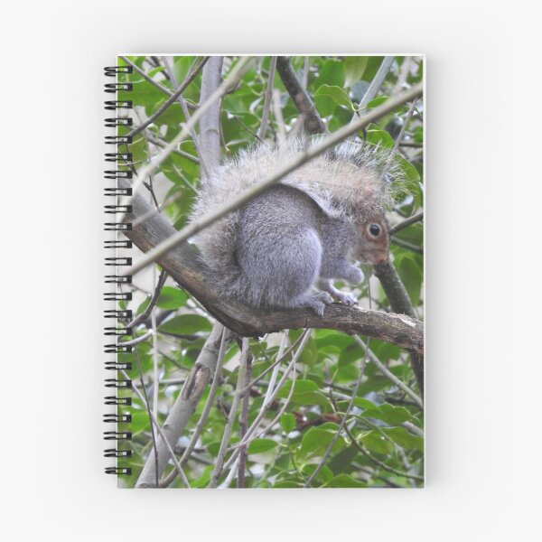 Item preview, Squirrel designed and sold by Acrylicwhisper.