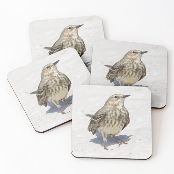 Item preview, Rock Pipit designed and sold by LaurenTucker.