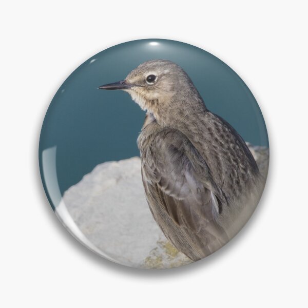 Item preview, Rock Pipit designed and sold by LaurenTucker.