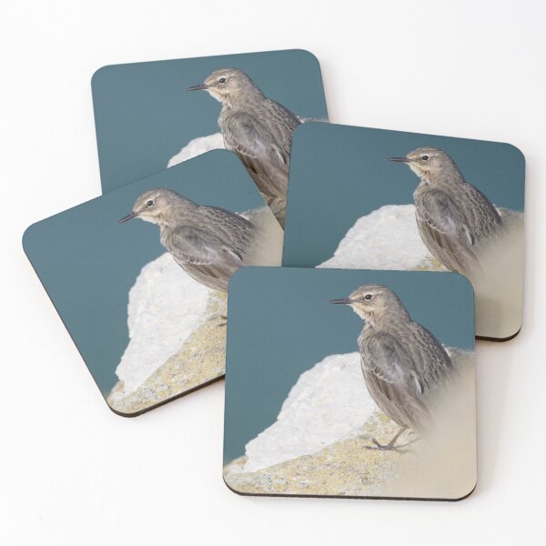 Item preview, Rock Pipit designed and sold by LaurenTucker.