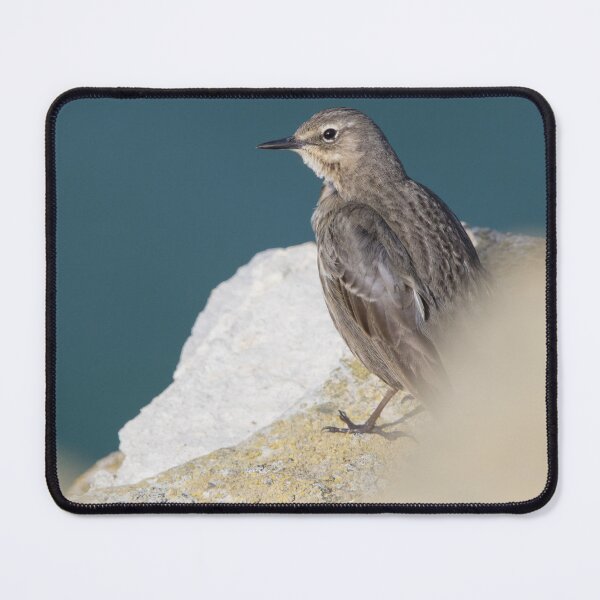 Item preview, Rock Pipit designed and sold by LaurenTucker.