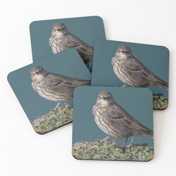 Item preview, Rock Pipit designed and sold by LaurenTucker.