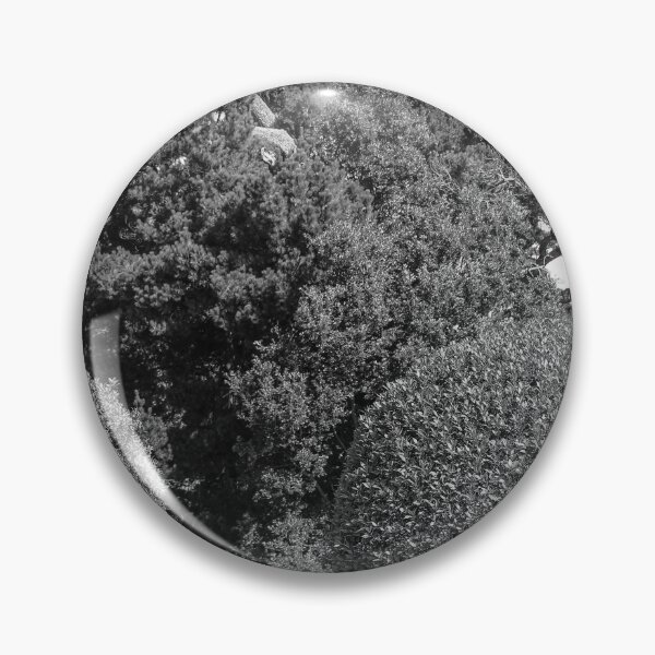 Item preview, Trees in Mount Stewart Vertical Black and White designed and sold by eddiebarronshop.