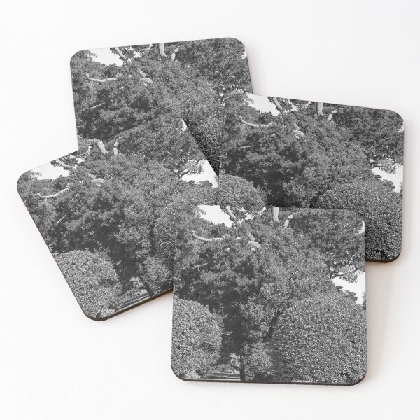 Item preview, Trees in Mount Stewart Vertical Black and White designed and sold by eddiebarronshop.
