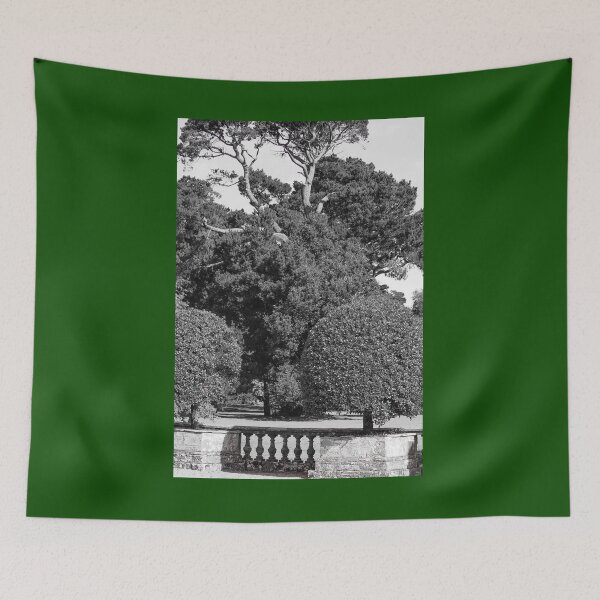 Item preview, Trees in Mount Stewart Vertical Black and White designed and sold by eddiebarronshop.