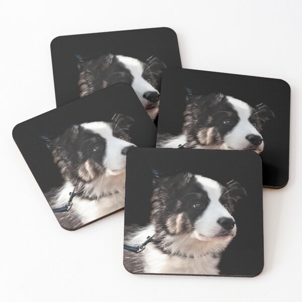 Item preview, Border Collie designed and sold by Angela Watts.