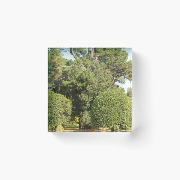 Item preview, Trees in Mount Stewart Northern Ireland National Trust Vertical designed and sold by eddiebarronshop.