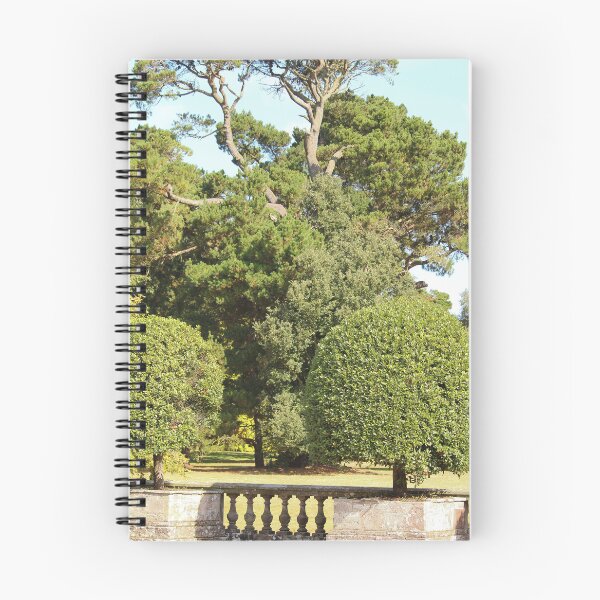 Item preview, Trees in Mount Stewart Northern Ireland National Trust Vertical designed and sold by eddiebarronshop.