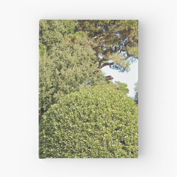 Item preview, Trees in Mount Stewart Northern Ireland National Trust Vertical designed and sold by eddiebarronshop.