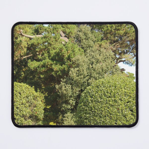 Item preview, Trees in Mount Stewart Northern Ireland National Trust Vertical designed and sold by eddiebarronshop.