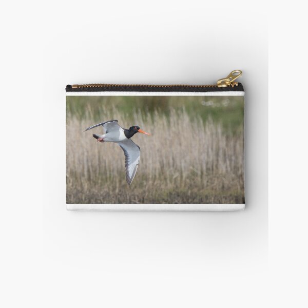 Item preview, Oystercatcher designed and sold by LaurenTucker.