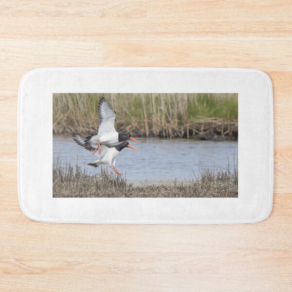 Item preview, Oystercatcher designed and sold by LaurenTucker.