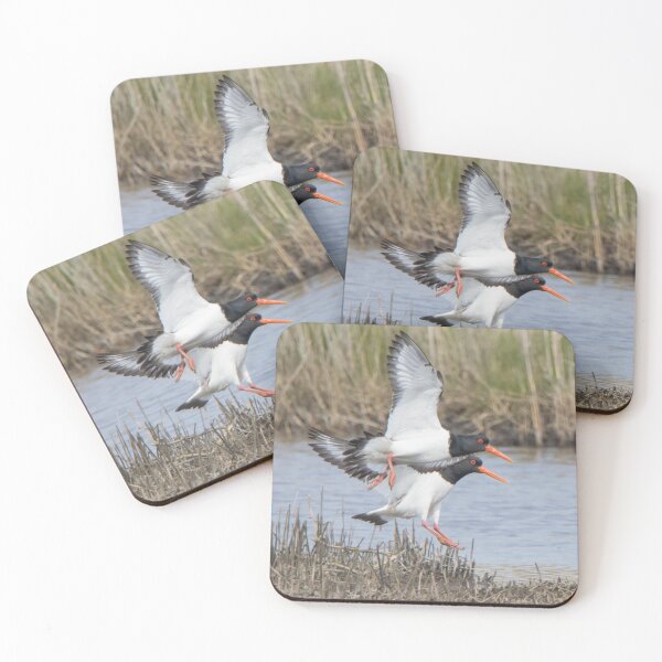 Item preview, Oystercatcher designed and sold by LaurenTucker.