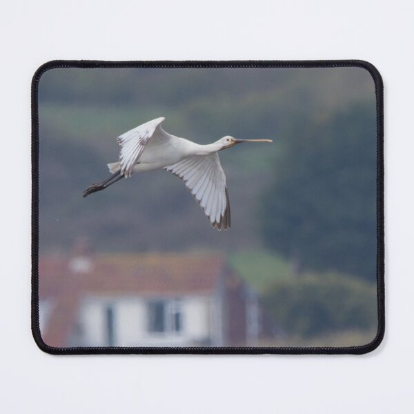 Item preview, Spoonbill designed and sold by LaurenTucker.