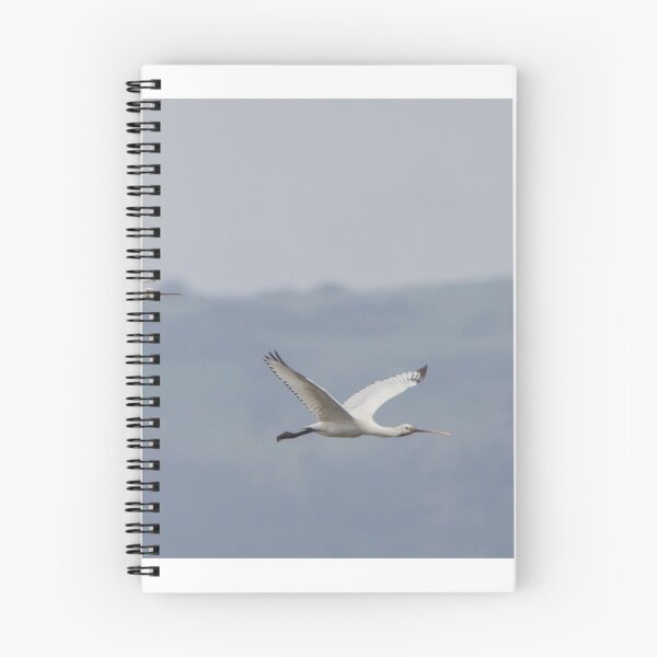 Item preview, Spoonbill designed and sold by LaurenTucker.
