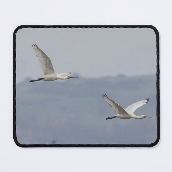 Item preview, Spoonbill designed and sold by LaurenTucker.