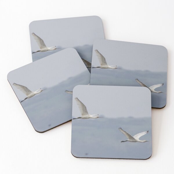 Item preview, Spoonbill designed and sold by LaurenTucker.