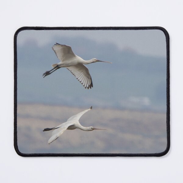 Item preview, Spoonbill designed and sold by LaurenTucker.