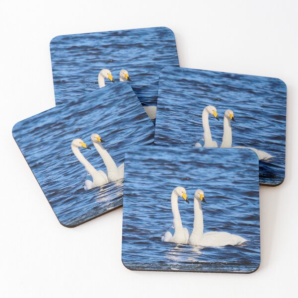 Item preview, Dance of the two. Whooper Swan designed and sold by Jouko Lehto Photography.