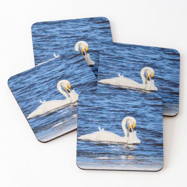 Item preview, Hug me my love. Whooper Swan designed and sold by Jouko Lehto Photography.
