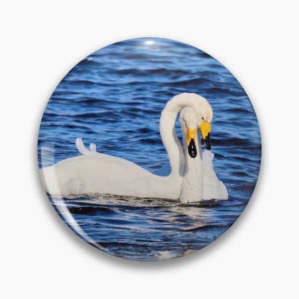 Item preview, Hug me my love. Whooper Swan designed and sold by Jouko Lehto Photography.