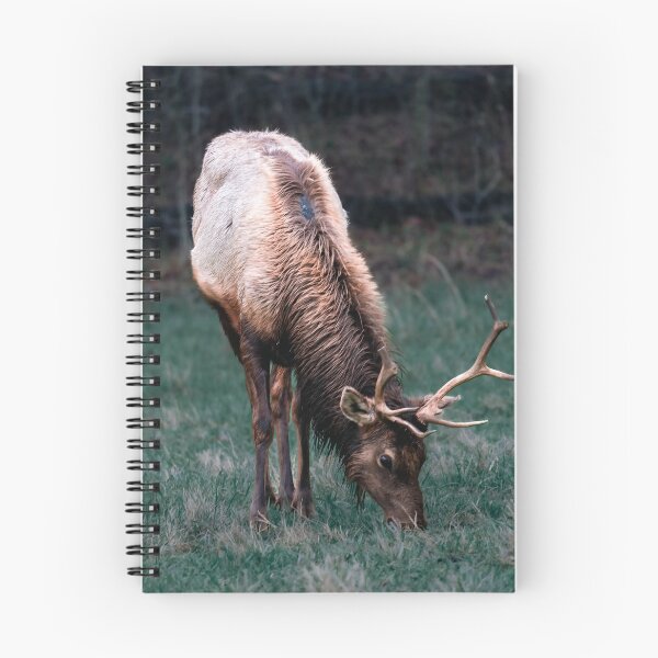 Item preview, Deer in the woods designed and sold by Vsaditya2020.