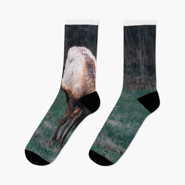 Item preview, Deer in the woods designed and sold by Vsaditya2020.