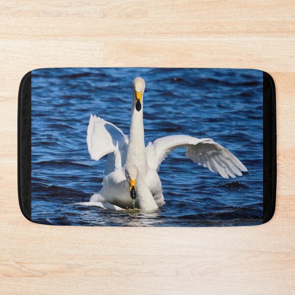 Item preview, Making more. Whooper Swan designed and sold by Jouko Lehto Photography.