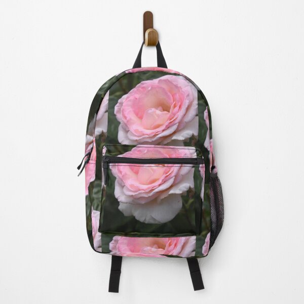 Item preview, Pink Promise Hybrid Tea Rose designed and sold by Robert Armendariz.