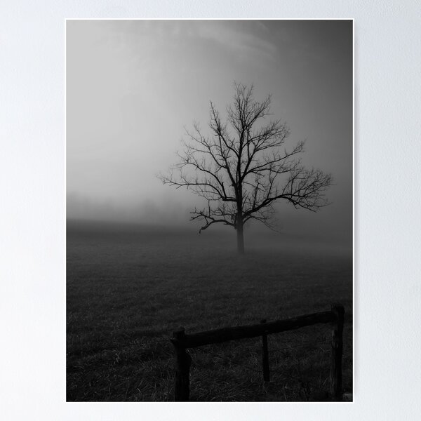 Item preview, The Fog Is Lifting in Black & White designed and sold by ladywings.