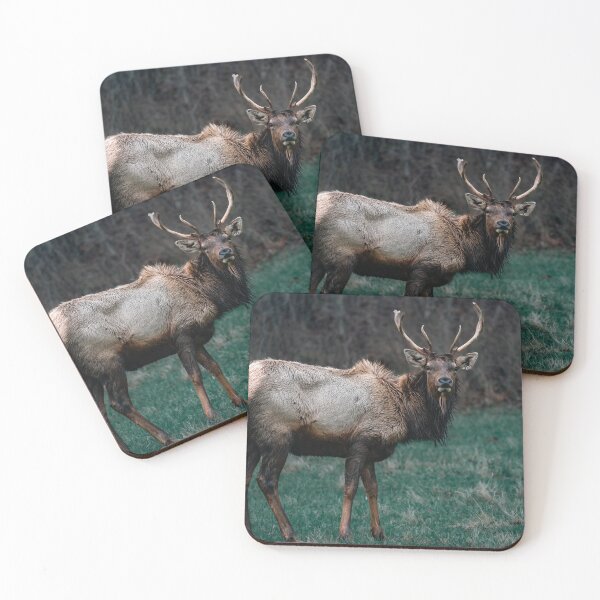 Item preview, Deer in the woods designed and sold by Vsaditya2020.