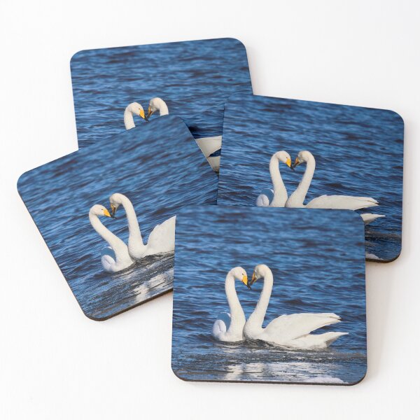 Item preview, Love is all. Whooper Swan designed and sold by Jouko Lehto Photography.