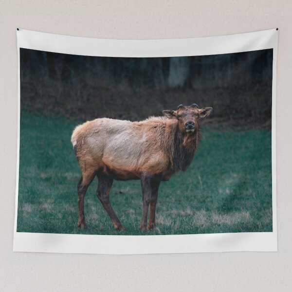 Item preview, Elk in the woods designed and sold by Vsaditya2020.