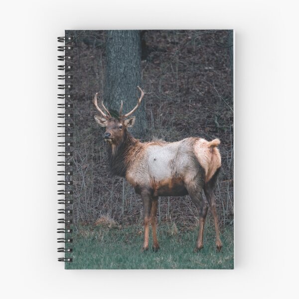 Item preview, ELK in the woods designed and sold by Vsaditya2020.
