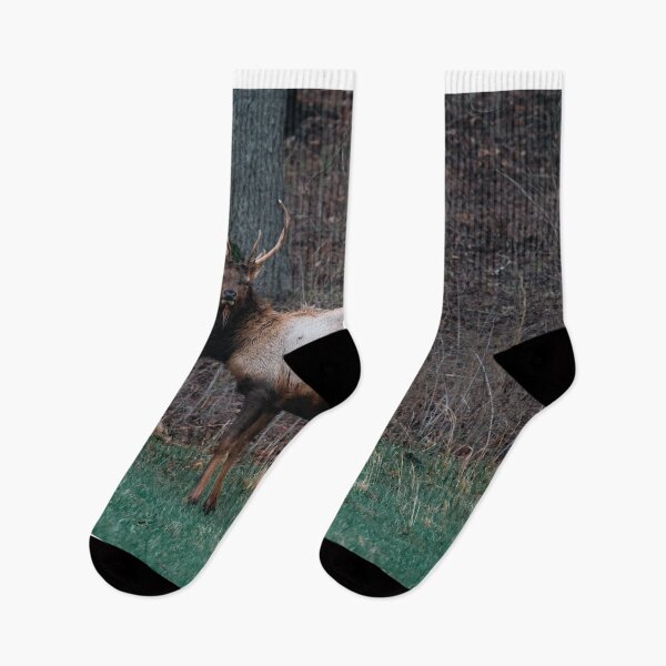 Item preview, ELK in the woods designed and sold by Vsaditya2020.