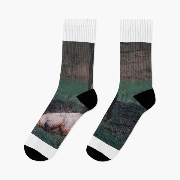 Item preview, ELK in the woods designed and sold by Vsaditya2020.