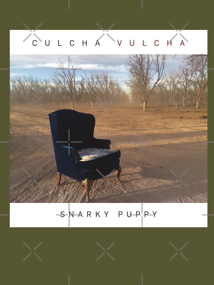 Snarky Puppy Culcha Vulcha Album Cover