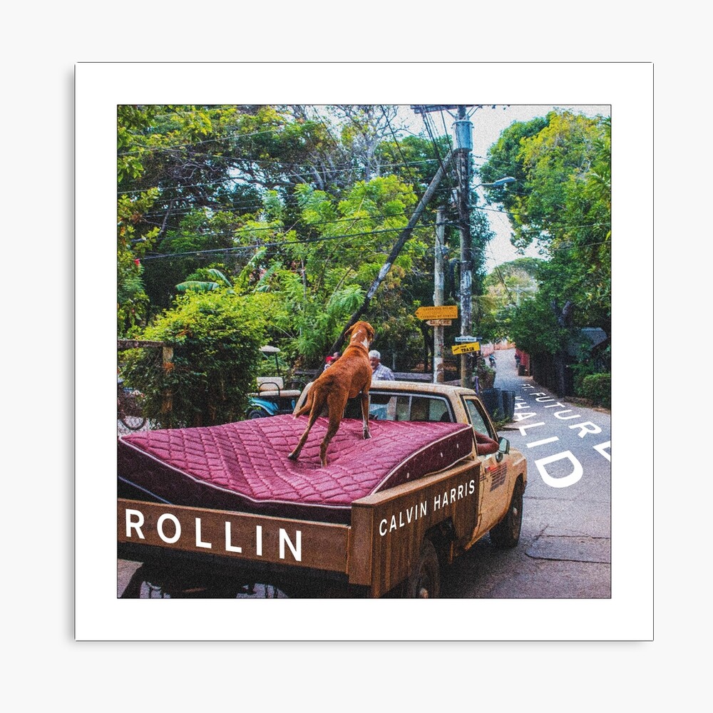 Calvin Harris Rollin Metallbild Von Suburbanrefugee Redbubble