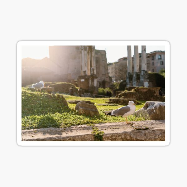 Rome, Italy Photography Film Print Sticker