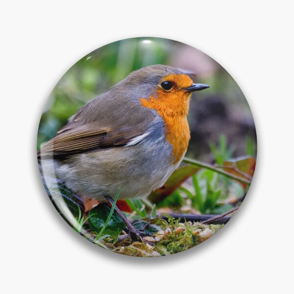 Item preview, Robin in Springtime designed and sold by Violaman.