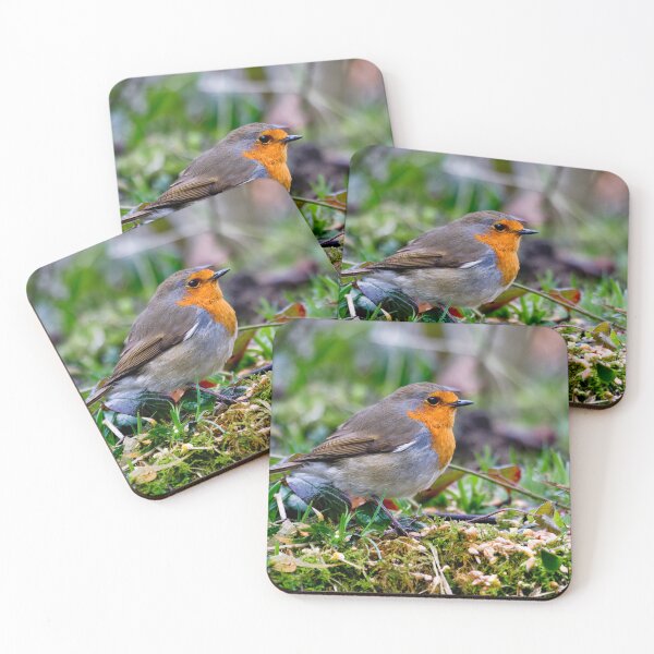 Item preview, Robin in Springtime designed and sold by Violaman.