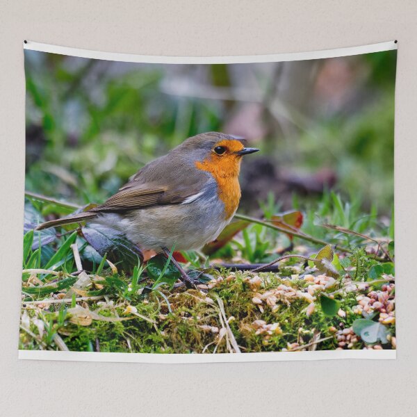 Item preview, Robin in Springtime designed and sold by Violaman.