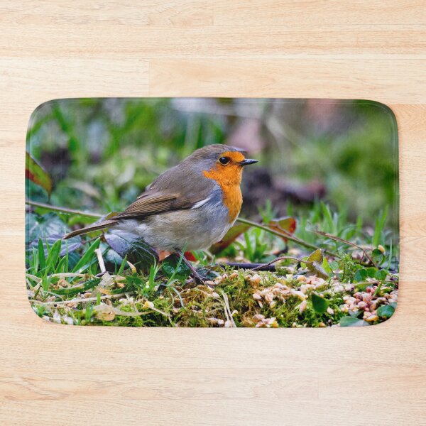 Item preview, Robin in Springtime designed and sold by Violaman.