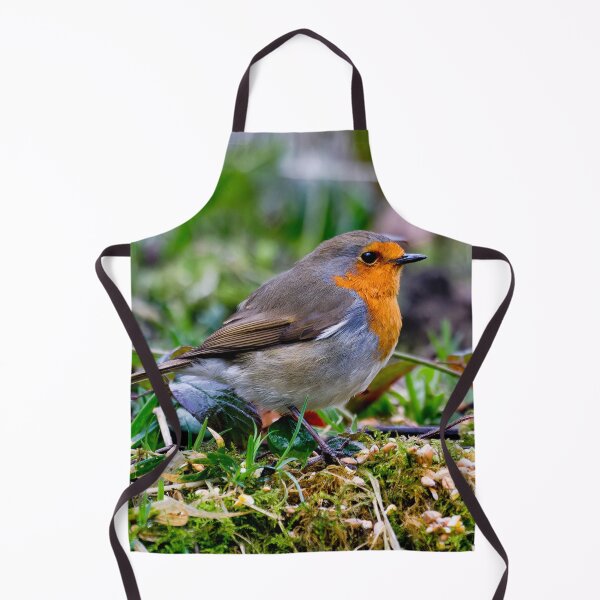 Item preview, Robin in Springtime designed and sold by Violaman.