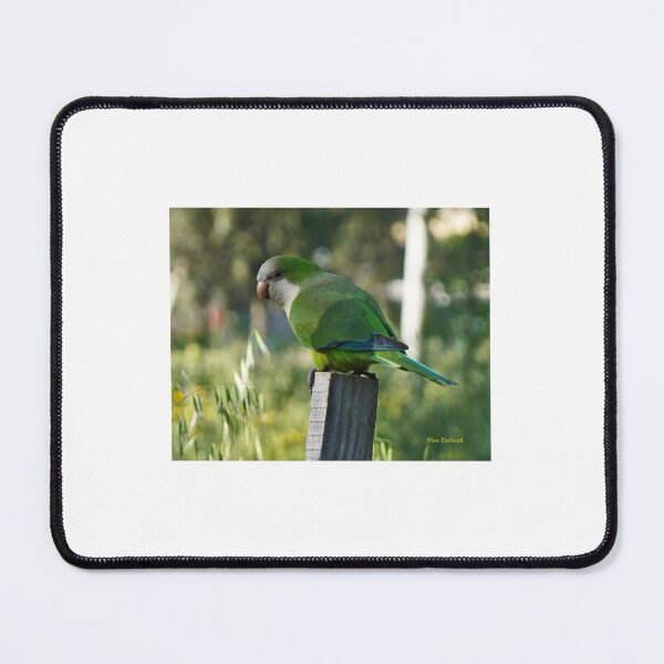 Item preview, Hello Nira designed and sold by Nira Dabush.