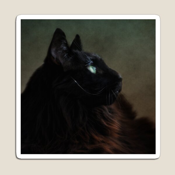 Item preview, Black Maine Coon designed and sold by lucyliu.